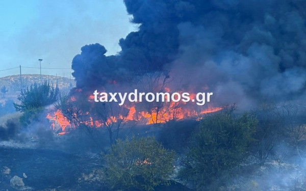 Βόλος - πυρκαγιά: Εκκενώνεται το Σέσκλο