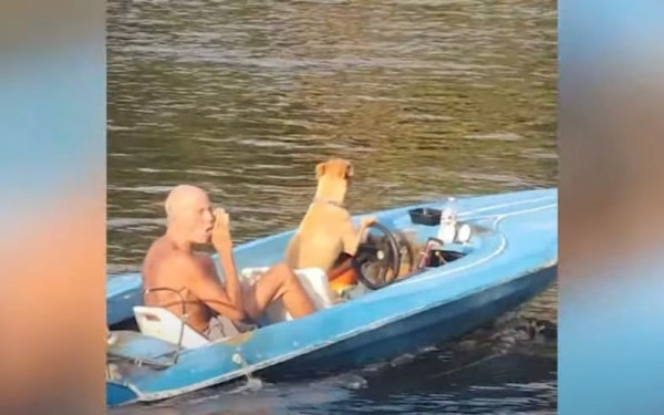 Απίστευτο βίντεο: Σκύλος οδηγεί το σκάφος του ιδιοκτήτη του και τον πάει... βόλτα! 