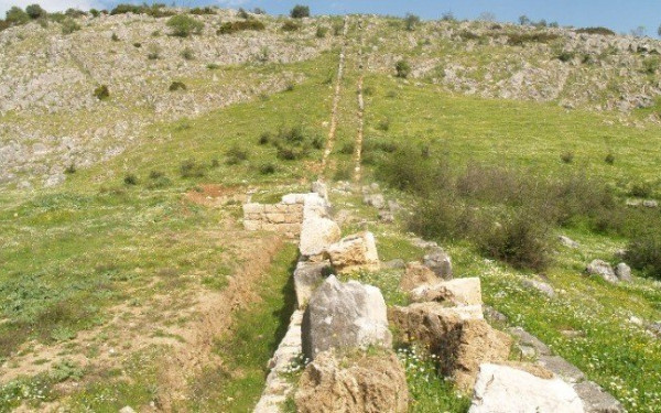 Δημητριακά, όσπρια, φρούτα, περιελάμβανε το νεολιθικό διαιτολόγιο στην περιοχή των Τρικάλων Δημητριακά, όσπρια, φρούτα, περιελάμβανε το νεολιθικό διαιτολόγιο στην περιοχή των Τρικάλων