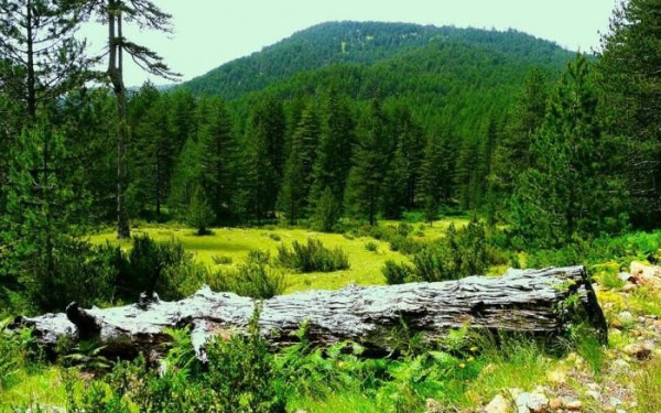 Ο φύλακας της φύσης των Γρεβενών