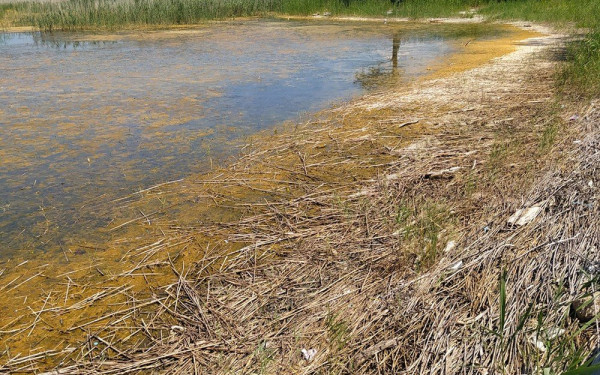 Αφημένη στην τύχη της η λίμνη της Δοϊράνης (φωτ. & βίντεο)