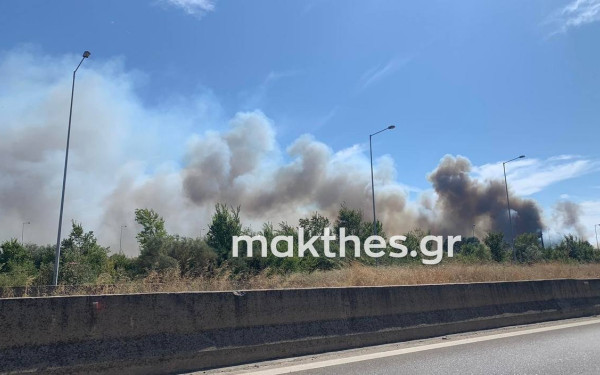 Θεσσαλονίκη: Υπό μερικό έλεγχο η φωτιά στο δήμο Δέλτα