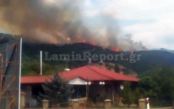Φθιώτιδα: Μεγάλη αναζωπύρωση στη Μακρακώμη - Δείτε φωτογραφίες