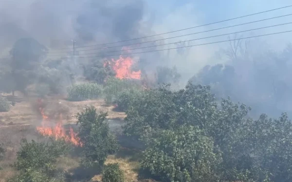 Κρήτη: Μεγάλη κινητοποίηση της Πυροσβεστικής για φωτιά στην ενδοχώρα του Ηρακλείου (βίντεο)