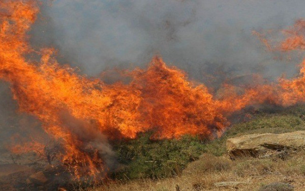 Ολονύχτια μάχη για να περιοριστεί η φωτιά στον Ασπρόπυργο