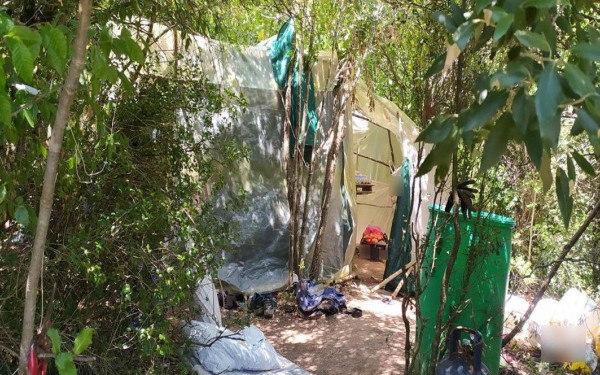 Καβάλα: Πλήρως οργανωμένη φυτεία κάνναβης εντοπίστηκε στο Παγγαίο