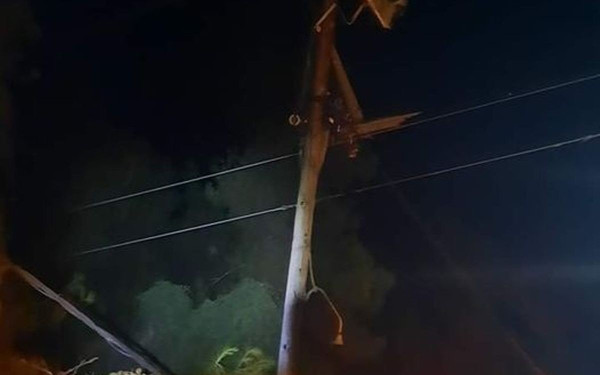 Χαλκιδική: Δέντρο έπεσε σε κολώνα της ΔΕΗ στην Κρυποπηγή (φωτ.)