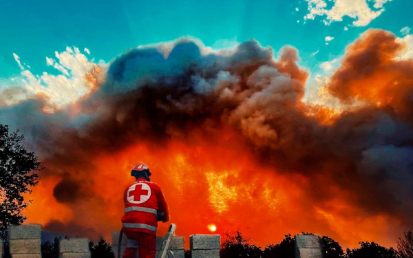 Πολύ δύσκολη η κατάσταση στην Αλεξανδρούπολη - Μαίνονται ανεξέλεγκτα τα πύρινα μέτωπα (βίντεο, φωτ.) Πολύ δύσκολη η κατάσταση στην Αλεξανδρούπολη - Μαίνονται ανεξέλεγκτα τα πύρινα μέτωπα (βίντεο, φωτ.)