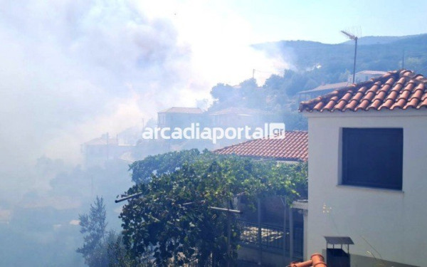Φωτιά στην Αρκαδία: Οι φλόγες πλησιάζουν σπίτια (φωτ.)