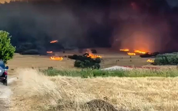 Πολύ υψηλός κίνδυνος πυρκαγιάς κατηγορίας 4 στον Έβρο