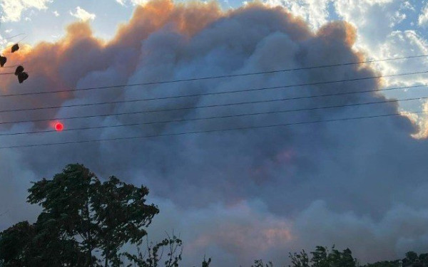 Φωτιά και στην Φθιώτιδα 