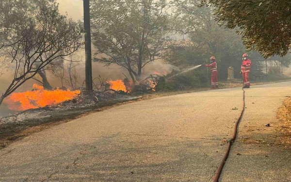 Φωτιά στην Αλεξανδρούπολη: Μέσα στο χωριό Δωρικό οι φλόγες (βίντεο)