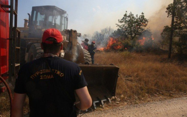 Φωτιά στην Αλεξανδρούπολη: Μάχη σε τρία μέτωπα - Νέες εκκενώσεις οικισμών