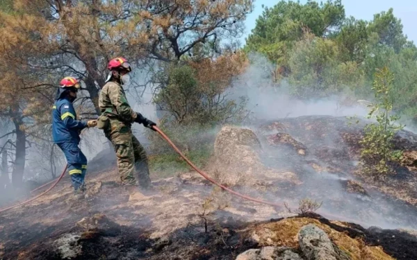 Δέκατο 24ωρο πύρινου εφιάλτη στον Έβρο: Μεγάλη μάχη για τη Δαδιά - Εφιάλτης οι νότιοι άνεμοι