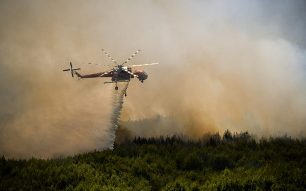 Αλεξανδρούπολη: Ανεξέλεγκτες διαστάσεις έχει πάρει το πύρινο μέτωπο - Στο δάσος της Δαδιάς οι φλόγες - «Χιονίζει» στάχτη στην πόλη! (βίντεο, φωτ.)