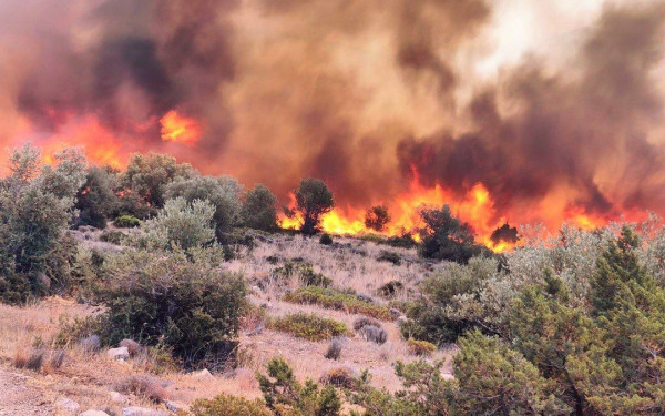 Πυρκαγιές: 60 άτομα απομακρύνθηκαν από το Σαράντη στην Βοιωτία - Σε ετοιμότητα το Λιμενικό για την Εύβοια 