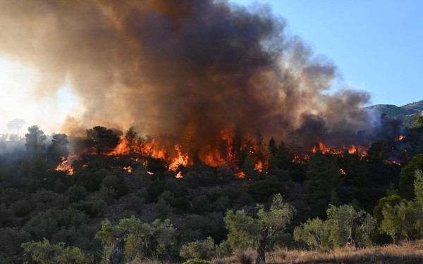 Φωτιά στη Χίο: Με εγκαύματα στο νοσοκομείο 5 πυροσβέστες και 1 πολίτης