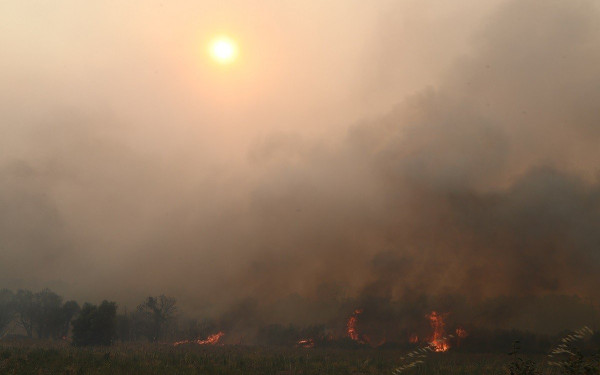 Τα ενεργά μέτωπα στην Αλεξανδρούπολη (βίντεο)