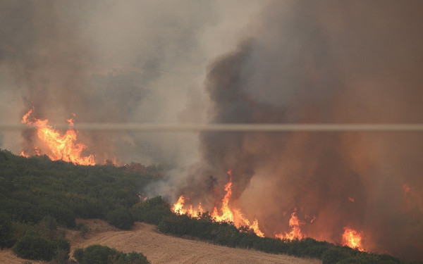 Έβρος: Συνεχείς αναζωπυρώσεις, ανησυχία από την αλλαγή στην κατεύθυνση του ανέμου