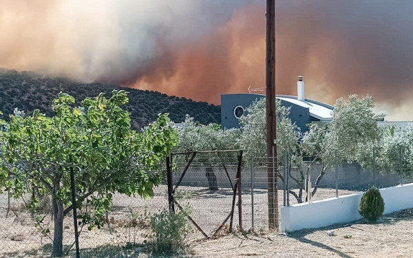 Φωτιά στη Φθιώτιδα: Ξαφνική νεροποντή στη Μακρακώμη - Τέθηκε υπό έλεγχο το μέτωπο
