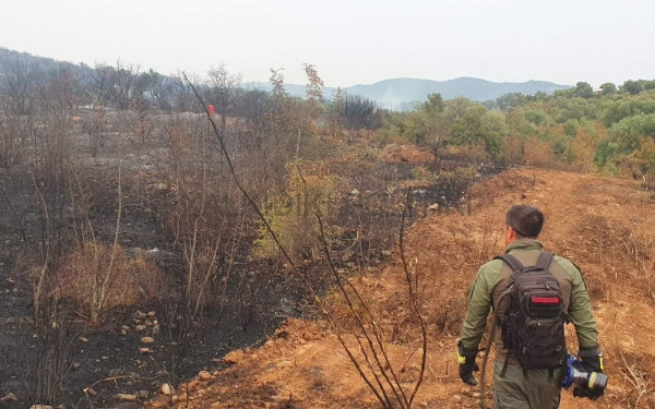 Νέο αρνητικό ρεκόρ: Περισσότερα από 1.200.000 στρέμματα έχουν καεί έως την 23η Αυγούστου 