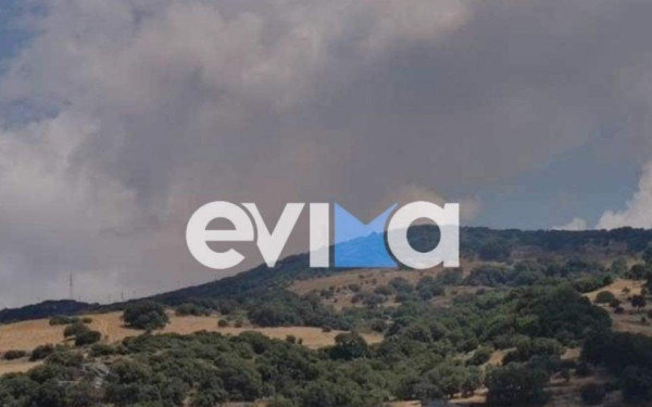 Μεγάλη φωτιά στην Κάρυστο: Σηκώθηκαν εναέρια μέσα