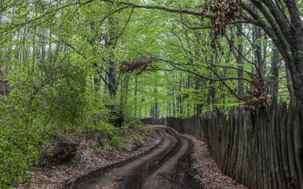 Καλοκαιρινές διακοπές με πικέ κουβέρτα