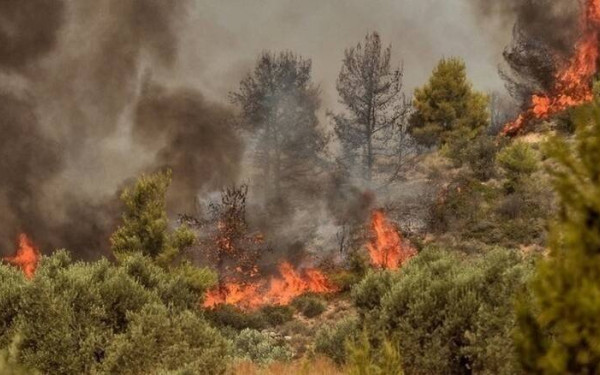 Φωτιά στην Νάξο: Μήνυμα του 112 για εκκένωση οικισμών