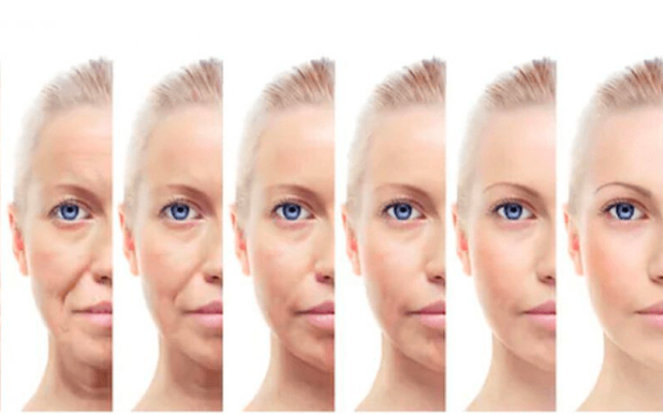 Φως στους πολύπλοκους μηχανισμούς της γήρανσης 