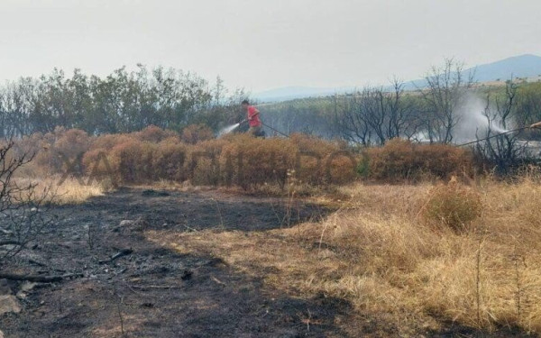 Λήξη συναγερμού στη Χαλκιδική - Υπό έλεγχο η φωτιά στην Όλυνθο (φωτ.)