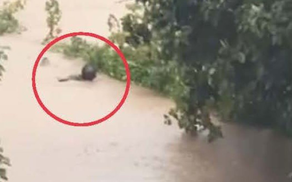 Δείτε βίντεο: Ο δήμαρχος Σκιάθου βούτηξε στα λασπόνερα για να σώσει την αδελφή του 