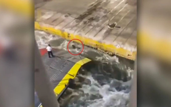 Blue Horizon: Τα πέντε δραματικά λεπτά πριν από τη δολοφονία του Αντώνη - Φαίνεται να συνομιλεί με το πλήρωμα (βίντεο)