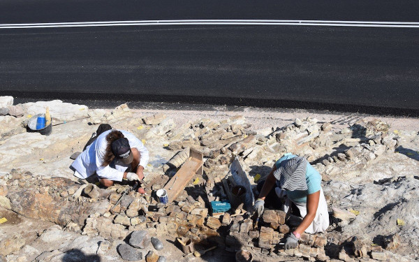 Λέσβος: Ένα "αρχείο" απολιθωμάτων ηλικίας 23 εκατομμυρίων ετών
