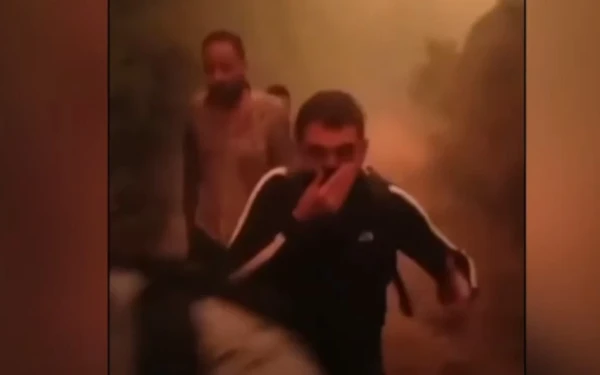 Έβρος: Βίντεο από τις τελευταίες στιγμές των 18 μεταναστών στο δάσος της Δαδιάς