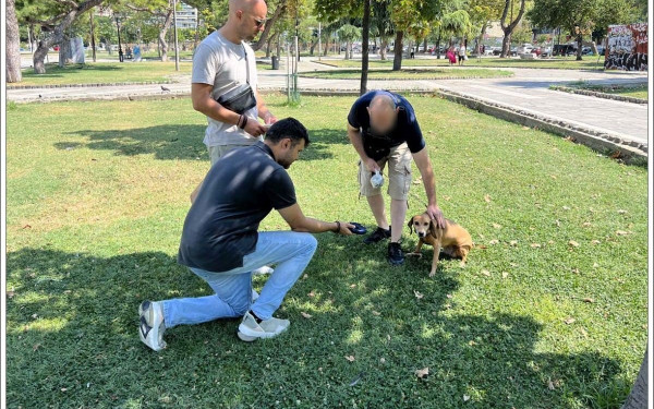 Έλεγχοι της ΕΛΑΣ σε ιδιοκτήτες ζώων συντροφιάς στη Θεσσαλονίκη - Βεβαιώθηκαν 44 πρόστιμα