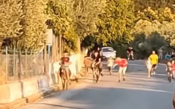 Παρέμβαση εισαγγελέα για τις «γαϊδουροδρομίες» στη Λέσβο