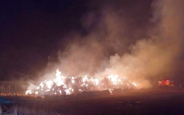 Καστοριά: Κεραυνός έκανε στάχτη κτηνοτροφική μονάδα (φωτ.)