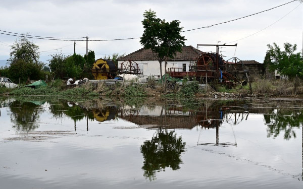 Συγκλονιστική μαρτυρία: «Στη γειτονιά μου στον Παλαμά είδα πάνω από 10 νεκρούς» - Δείτε βίντεο