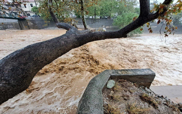 Κακοκαιρία στον Βόλο: Ξεπέρασε τα 600 χιλιοστά η βροχή στο Πήλιο - Δείτε εικόνα του meteo