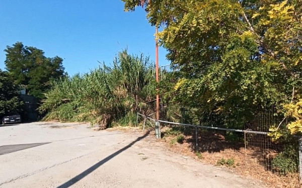 Αναγκαία η ανάπλαση του ρέματος μετά το νέο πάρκο στην Επανομή - Κίνδυνος για μικρά παιδιά (βίντεο, φωτ.)