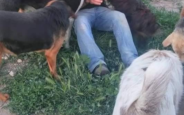 Σέρρες: Έφυγε από τη ζωή ο Κώστας Χατζιαδαμίδης, ο «ήρωας των αδέσποτων»