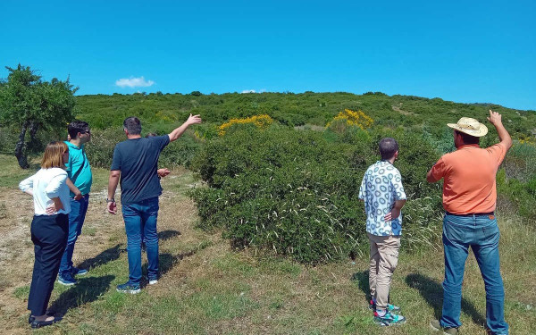 Αναδάσωση στα Πεύκα με 20.000 δέντρα σε συνεργασία με το ΕΚΕΤΑ