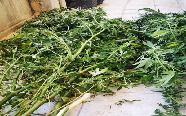 Συλλήψεις για ναρκωτικά σε Σέρρες και Ημαθία