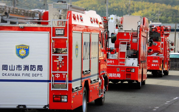 Πιερία: Οριοθετήθηκε η φωτιά στην περιοχή αρχαίας Πύδνα