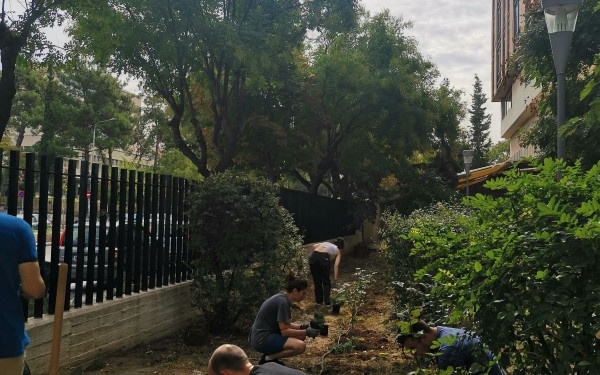 Οι πρωτοετείς φοιτητές έφτιαξαν έναν κήπο λουλουδιών στο ΠΑΜΑΚ (φωτ.)