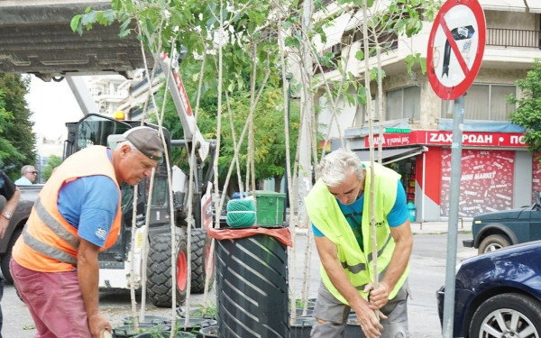 Θεσσαλονίκη: Δεντροφυτεύσεις στην Δ' Δημοτική Κοινότητα (φωτ.)