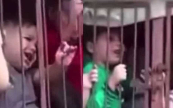 Βίντεο-σοκ από το Ισραήλ: Παλαιστίνιοι αιχμαλώτισαν μικρά παιδιά και τα έκλεισαν σε κλουβιά με κότες