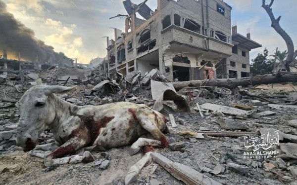 Τέσσερις νεκροί από ισραηλινά πλήγματα σε μεθοριακή διάβαση κοντά στη Ράφα