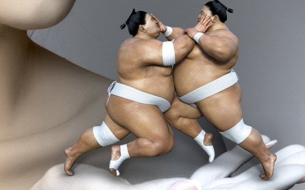 Κατέβασαν παλαιστές σούμο από αεροπλάνο γιατί φοβήθηκαν μη πέσει λόγω βάρους