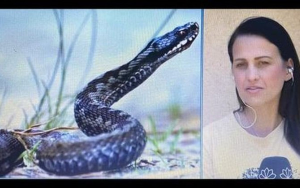 Θεσσαλονίκη: Η υπερπροσπάθεια των διασωστών του ΕΚΑΒ να κρατήσουν ζωντανή την 39χρονη που δαγκώθηκε από οχιά (βίντεο)